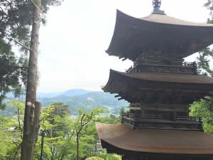 Shrine at Aoki Mura